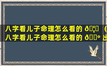 八字看儿子命理怎么看的 🦁 （八字看儿子命理怎么看的 🐺 出来）